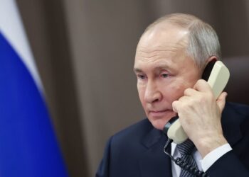 Trump and Putin maintain cellphone name — RT World Information