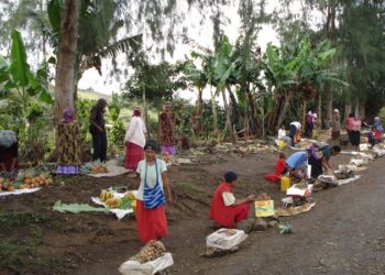 Tackling the Hidden Toll of Breast Most cancers within the Pacific Islands — International Points