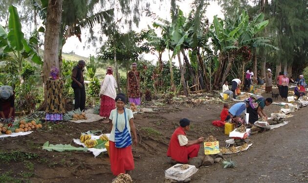 Tackling the Hidden Toll of Breast Most cancers within the Pacific Islands — International Points