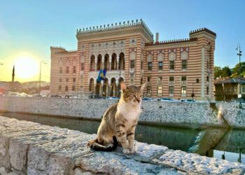 3-Day Sarajevo Itinerary: Tradition, Historical past, Nature