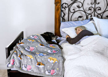 Sleepy Hippo Canine Mattress Assessment: Luxurious Consolation Your Pup Deserves