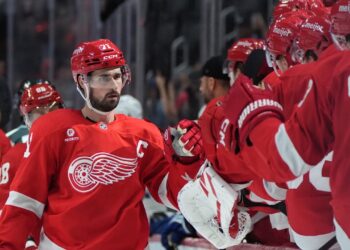 Maple Leafs fall to Pink Wings in OT to shut pre-season