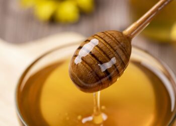Does Honey Ever Go Dangerous? The Candy Fact About Its Shelf Life