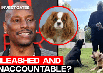 Dealing with Prices After Canine Assault in Atlanta