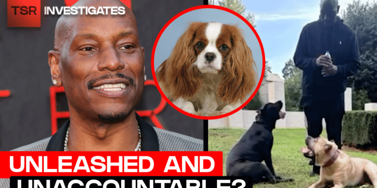 Dealing with Prices After Canine Assault in Atlanta