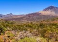 The Full Information to Tenerife Day Journeys: From Iconic Peaks to Hidden Gems
