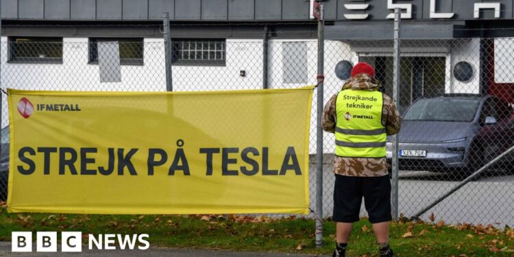 The placing Swedish staff taking over carmaker Tesla