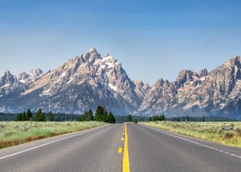 Find out how to Discover a Low-cost Automotive Rental in 2025