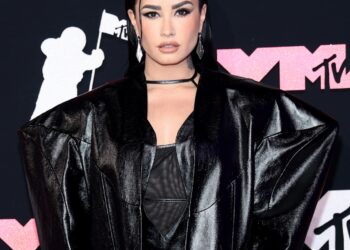 Demi Lovato Attire as Poot Meme