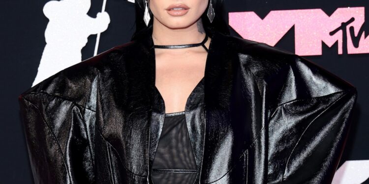 Demi Lovato Attire as Poot Meme