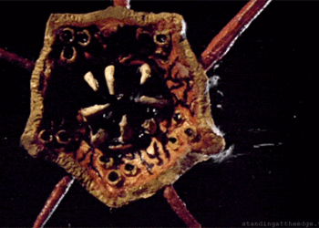 WITHOUT WARNING Martin Landau! Jack Palance! Cameron Mitchell! Neville Model! David Caruso! Free on-line