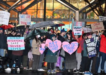 Transgender youth well being care could be almost banned all over the place below new guidelines : Photographs