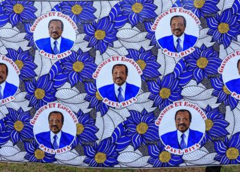 Cameroon’s 92 yr outdated President goals for eighth time period : NPR
