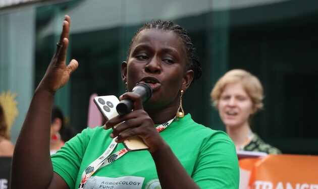 Shepherded by Anxious Safety in Humidity-fueled Warmth, Activists Plead for Local weather Justice — World Points