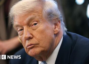 Trump indicators invoice ordering launch of Jeffrey Epstein information