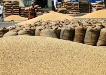 India prone to permit export of 5 lakh metric tonnes of natural wheat