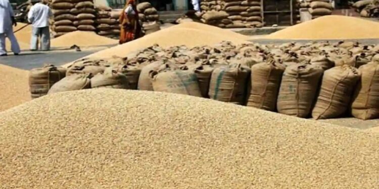 India prone to permit export of 5 lakh metric tonnes of natural wheat