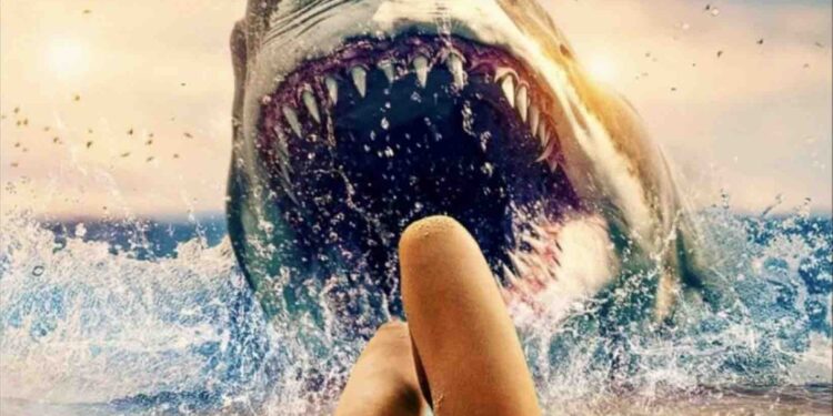 BIKINI SHARK Trailer and free on Tubi and YouTube