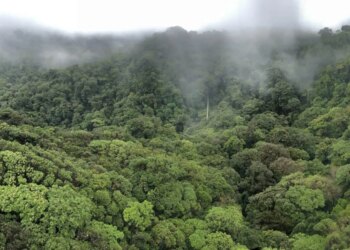 Prime Costa Rica Journey Errors for First-Time Guests (& How you can Keep away from Them)