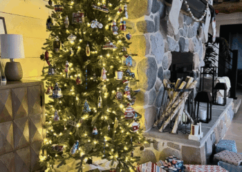 The Finest Christmas Timber to Purchase On-line