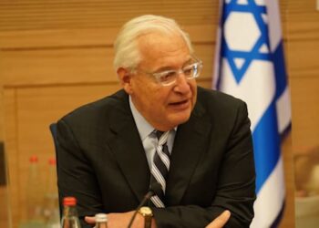 NSO appoints ex-US Ambassador David Friedman as chair