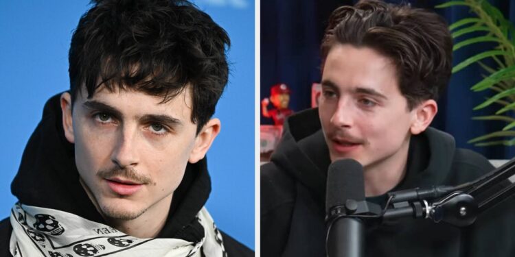 Timothée Chalamet’s TV Actor Feedback Divide Followers