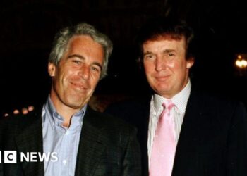 What we all know concerning the newest Epstein emails referencing Trump