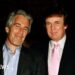 What we all know concerning the newest Epstein emails referencing Trump