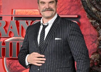 David Harbour Debuts Grey Hair in New Transformation
