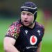 Autumn Nations Sequence: Harri Deaves in for Wales debut vs All Blacks as Louis Rees-Zammit begins once more | Rugby Union Information